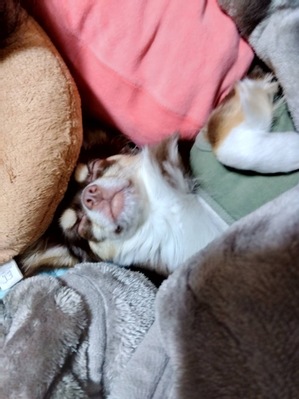 kotyann.JPGのサムネール画像